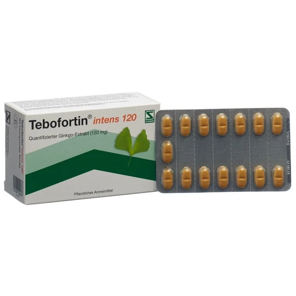 TEBOFORTIN intens 120 Filmtabl 120 mg 90